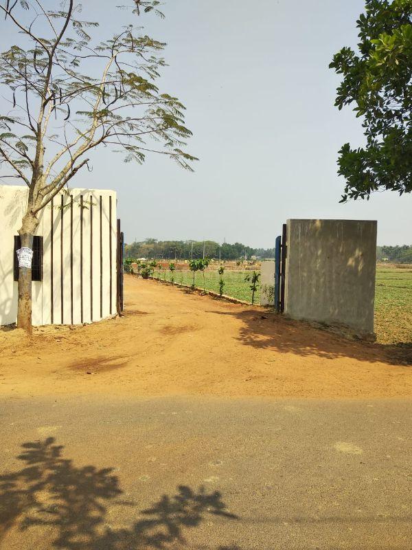 Low-Cost Commercial Land For Sale In Abhayamukhi Bhubaneswar